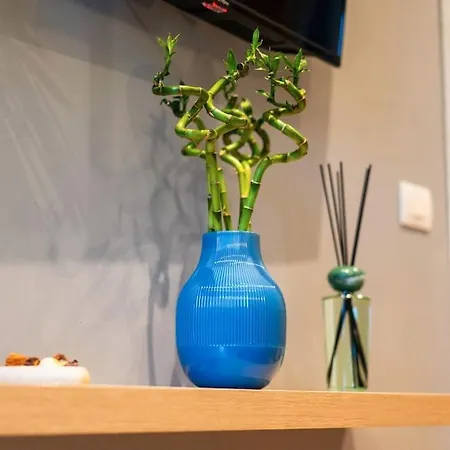 Intero Luje Venezia Διαμέρισμα